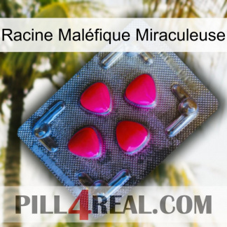 Racine Maléfique Miraculeuse 13